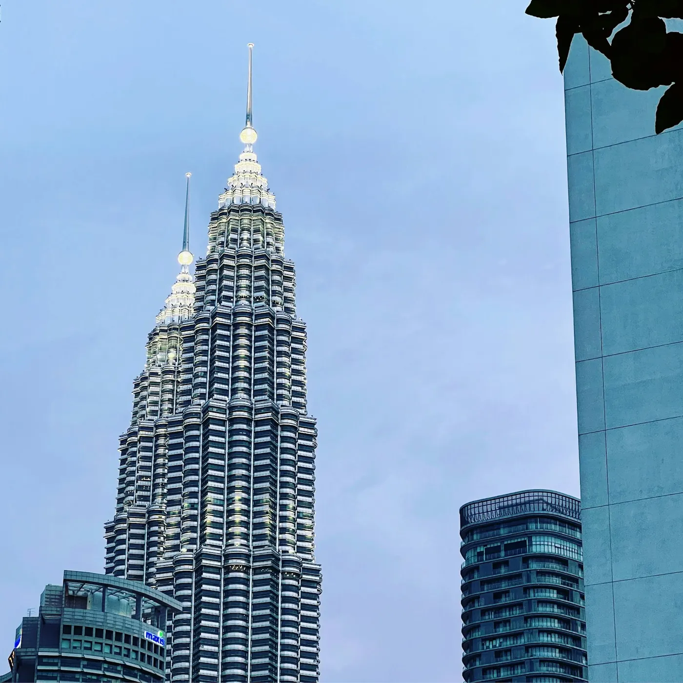 The towers at blue hour