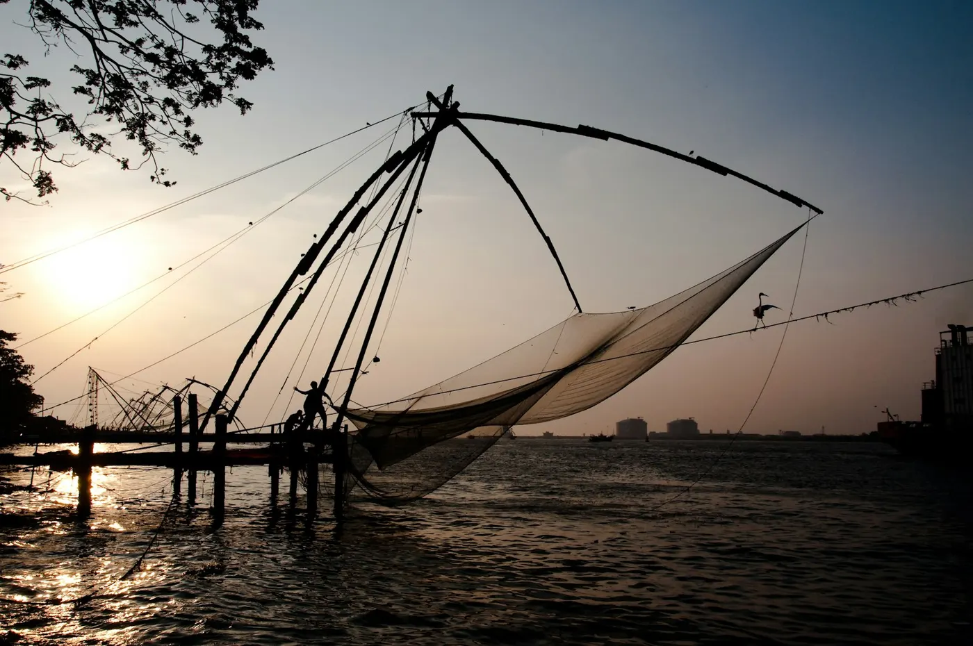 The nets at dawn, Fort Kochi